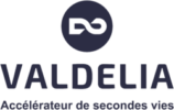 logo valdelia